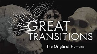 Great Transitions The Origin of Humans — HHMI BioInteractive Video [upl. by Farrow]