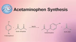 Acetaminophen Synthesis Mechanism  Organic Chemistry [upl. by Nnyladnarb280]