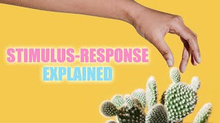 StimulusResponse Reflexes and Homeostasis [upl. by Rutherford839]