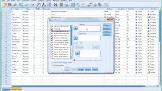 SPSS Tutorial 6  Introducing Crosstabulation [upl. by Nore586]