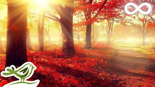 Beautiful Romantic Music Relaxing Music Piano Music Violin Music Guitar Music Sleep Music ★101 [upl. by Binky]