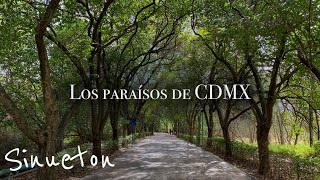 6 Lugares de CDMX donde olvidarás que existe el Caos [upl. by Akinimod238]