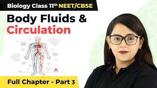 Class 11 Geography Chapter 10  General Circulation of the Atmosphere [upl. by Aruasor]