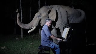 Beethoven “Moonlight Sonata” for Old Elephant [upl. by Assirolc]