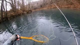 Fly Fishing Bennet Spring  Zone 2 [upl. by Chemarin]