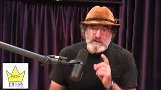 Paul Stamets telling Joe Rogan about the incredible benefits of Lions Mane mushrooms [upl. by Haya]