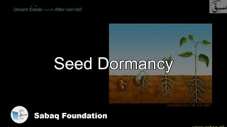 Seed Dormancy Biology Lecture  Sabaqpk [upl. by Argella]