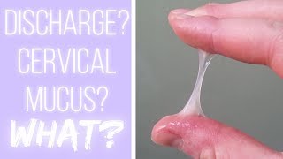 Whats Cervical Mucus The Cervical Mucus Project [upl. by Roseann687]