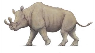 Megacerops Ice Age Rhino [upl. by Dame]