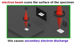 Electron Microscopy TEM and SEM [upl. by Fonda]