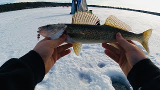 Northern Michigan Ice Fishing Report  Otsego Lake Gaylord MI  Walleye On The JawJacker [upl. by Ynatsyd]