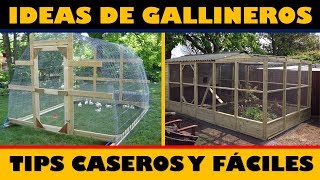 Las Mejores Ideas para hacer Gallineros  Tips Caseros [upl. by Angelique158]