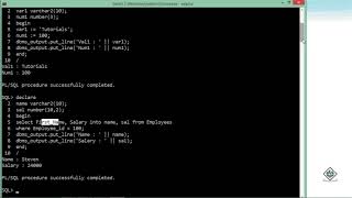 Oracle  PLSQL  Getting Started [upl. by Zerdna]