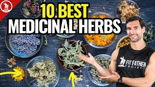 Top 10 Best Medicinal Herbs  For Health amp Vitality [upl. by Findley770]