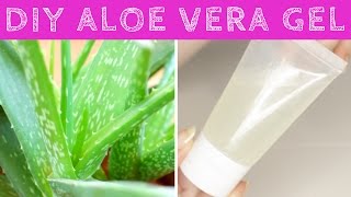 How to Make Aloe Vera Gel at Home from Scratch  DIY Aloe Vera Gel [upl. by Giffie]