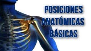 CUIDANETPOSICIONES ANATÓMICAS BASICAS [upl. by Attehcnoc]