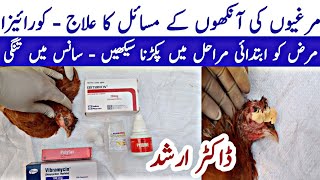 Chicken Eye Problems  Poultry Eyes and Respiratory Disorders  Coryza in Poultry  Dr Arshad [upl. by Peti]