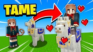 How to TAMERIDECONTROLDECORATE Llamas in Minecraft [upl. by Eecrad95]