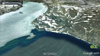 Arctic Tern Migration Google Earth Tour Video [upl. by Nosyrb519]