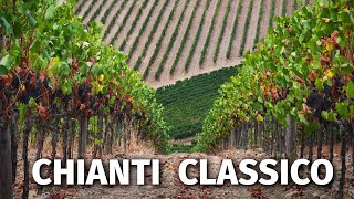 Great Italian Wines CHIANTI CLASSICO [upl. by Nnod573]