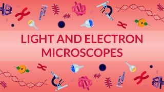 WHAT ARE LIGHT AND ELECTRON MICROSCOPES  HOW DO THEY WORK [upl. by Ardnossac]