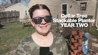 Dollar Tree Stackable Planter  YEAR TWO UPDATE [upl. by Ylremik295]