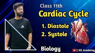 Cardiac Cycle Part 1  Body Fluids and Circulation  Class 11 BiologyNEETAIIMS [upl. by Wrench]