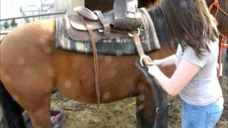 How to western saddle your horse [upl. by Nnylakcaj]