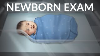 Newborn Exam by N Gold  OPENPediatrics [upl. by Merriman935]