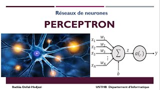 Le perceptron  Réseau de neurones simple [upl. by Duwalt109]