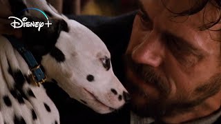 Cruella steals the Puppies – 101 Dalmatians HD Movie Clip [upl. by Camellia952]