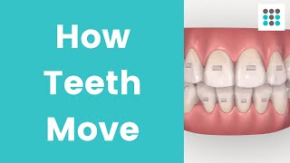 HOW TEETH MOVE WITH ALIGNERS amp BRACES l Dr Melissa Bailey Orthodontist [upl. by Nohtanoj691]