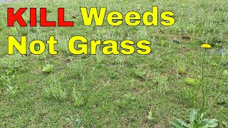 How to KILL WEEDS in Your Lawn WITHOUT KILLING the GRASS [upl. by Belsky]