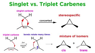 Carbenes Part 2 Cyclopropanation CH Insertion and the BamfordStevens Reaction [upl. by Dyolf145]