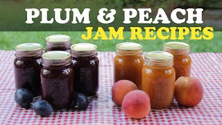 Canning jams for beginners Plum and Peach Jam Recipes [upl. by Neyugn]