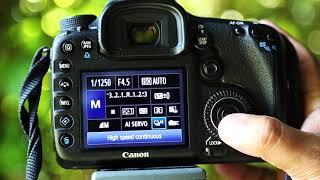 EXCELLENT CANON SPORTS PHOTOGRAPHY SETTINGS [upl. by Edik]