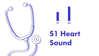 S1 Heart Sound  Learn How to Auscultate Part 8 [upl. by Three]