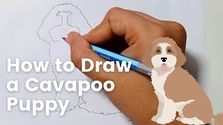 How To Draw a Cavapoo Puppy Draw a Doodle Dog Timelapse [upl. by Theodora]