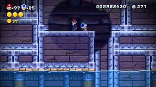 Super Mario Wii U  Sparkling Waters Secret  Skyward Stalk [upl. by Toll]