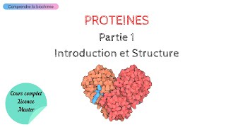 PROTÉINES  INTRODUCTION ET STRUCTURE  Biochimie Facile [upl. by Alim162]