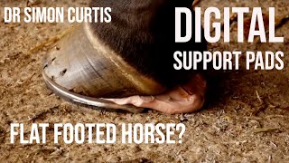 Treating a Horse With Low Heels  Using Digital Support Pads Farriery Tutorial [upl. by Ardyaf]