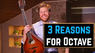 3 Reasons Why I Think You Should Play the Octave Mandolin [upl. by Tnilc]