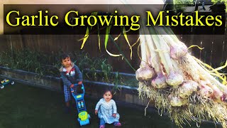 Common Garlic Growing Mistakes  And How To Fix Them [upl. by Enilarac69]