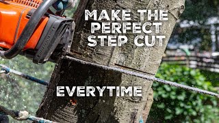 SNAP CUT tutorial for arborists [upl. by Mauricio]