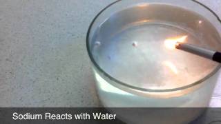 Alkali Metals React with Water [upl. by Selassie]