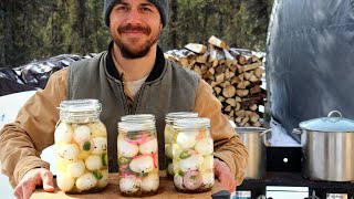 Pickled Eggs  Preserving the Perfect Snack [upl. by Arabella]