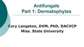 Antifungal Therapy in Veterinary Medicine Part 1 Dermatophytes [upl. by Kissee]