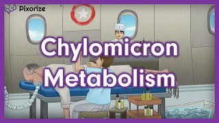 Chylomicron Metabolism USMLE Mnemonic [upl. by Baniaz]