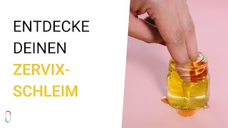 Entdecke Deinen Zervixschleim 🍯  trackle erklärt [upl. by Inad523]