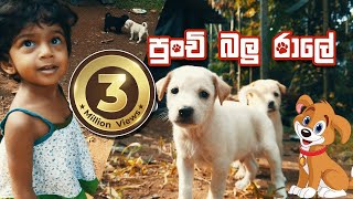 Punchi Balu Ralee  පුංචි බලු රාලේ  Sinhala Nursery Rhyme  Sinhalese Children Songs Educate  Booz [upl. by Dnalhsa]